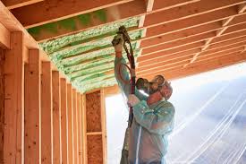 Best Thermal Imaging for Insulation Gaps  in Anahuac, TX